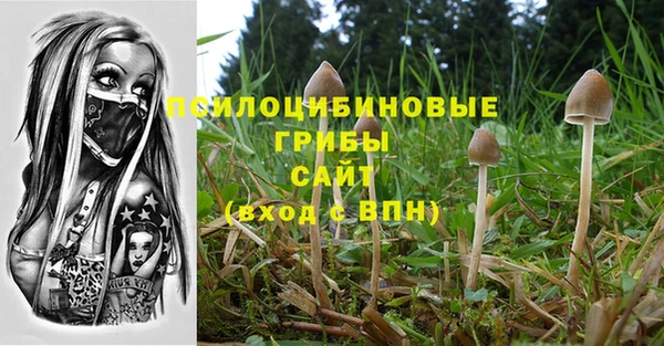 хмурый Краснослободск