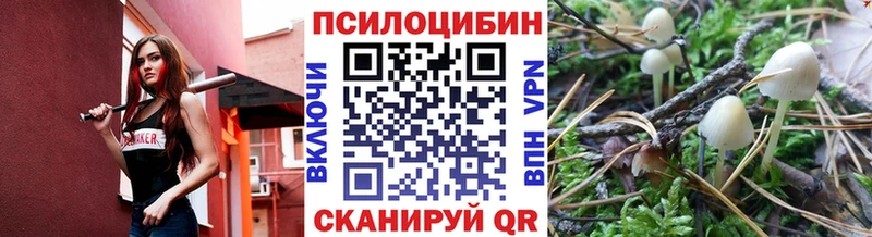 продажа наркотиков  Омск  Галлюциногенные грибы Psilocybe 